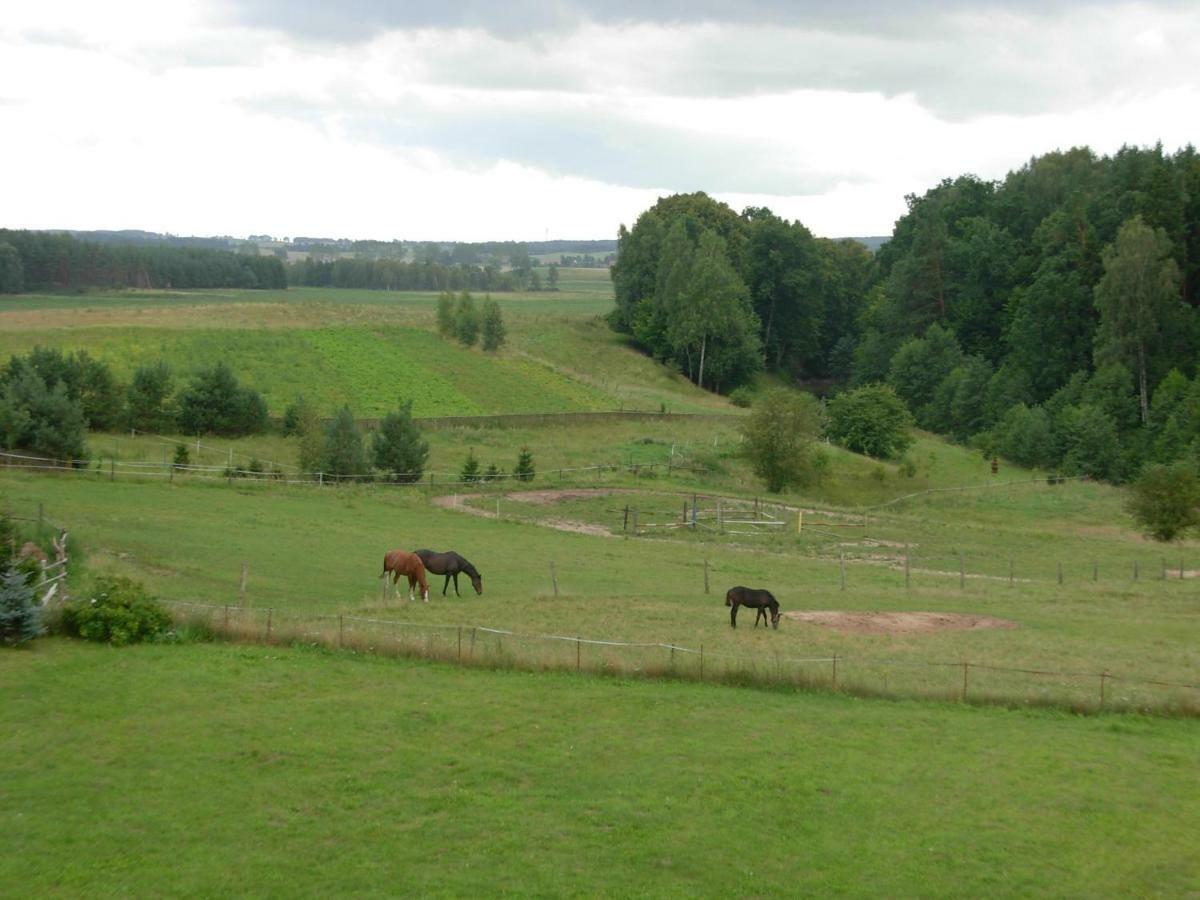 Agroturystyka Owczarnia Villa Кентшин Екстериор снимка